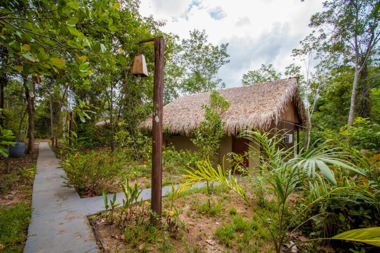 Amazon Turtle Lodge Careiro Εξωτερικό φωτογραφία