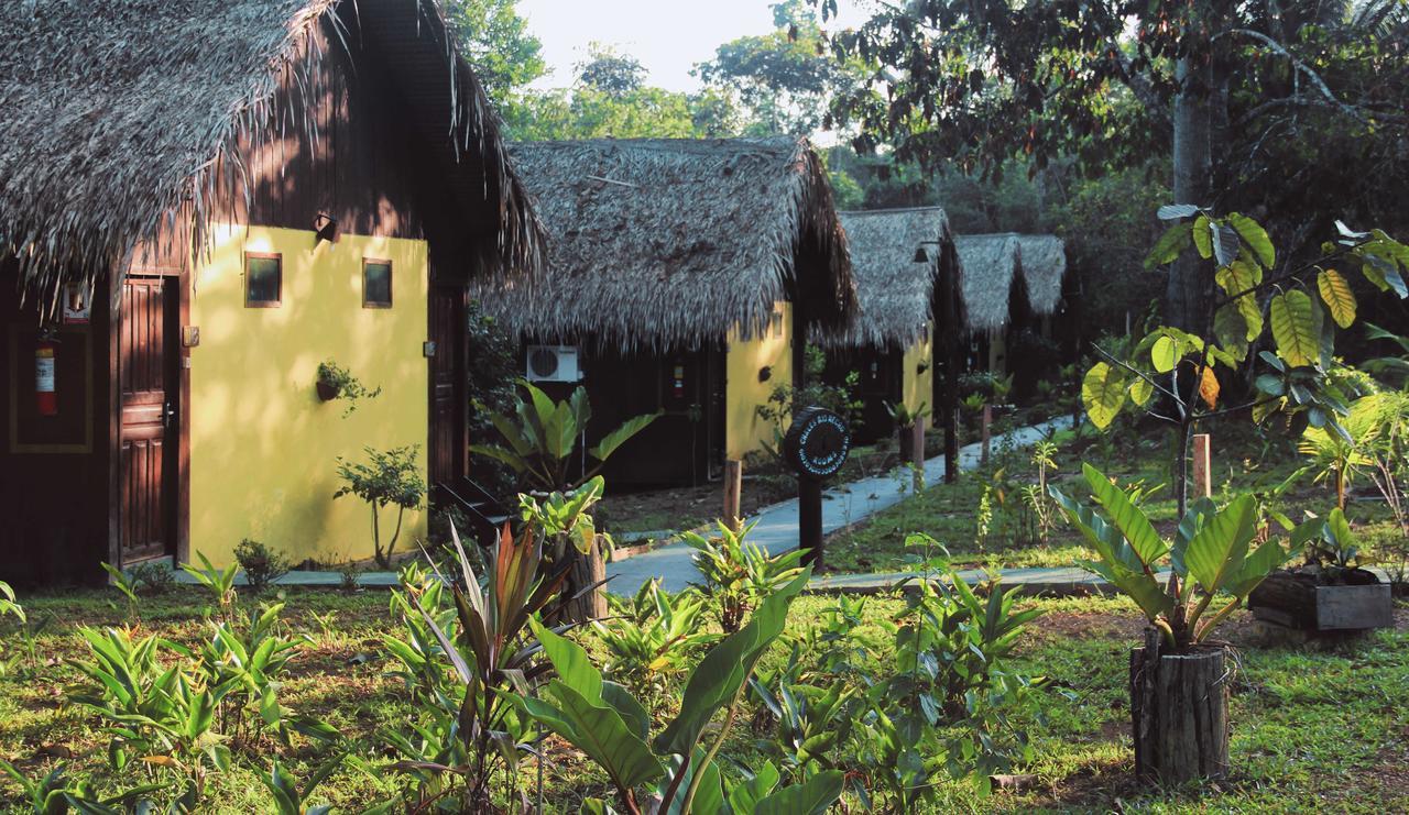 Amazon Turtle Lodge Careiro Εξωτερικό φωτογραφία